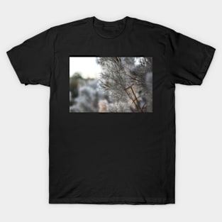 Fall Field T-Shirt